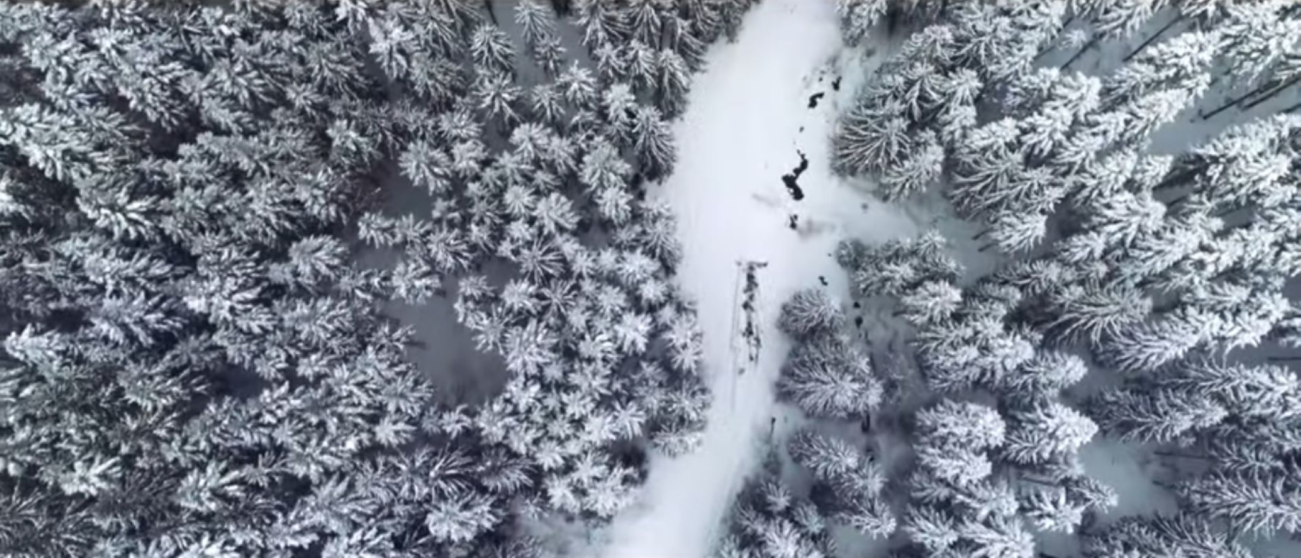 Ojtoz-Ozsdola természetvédelmi terület