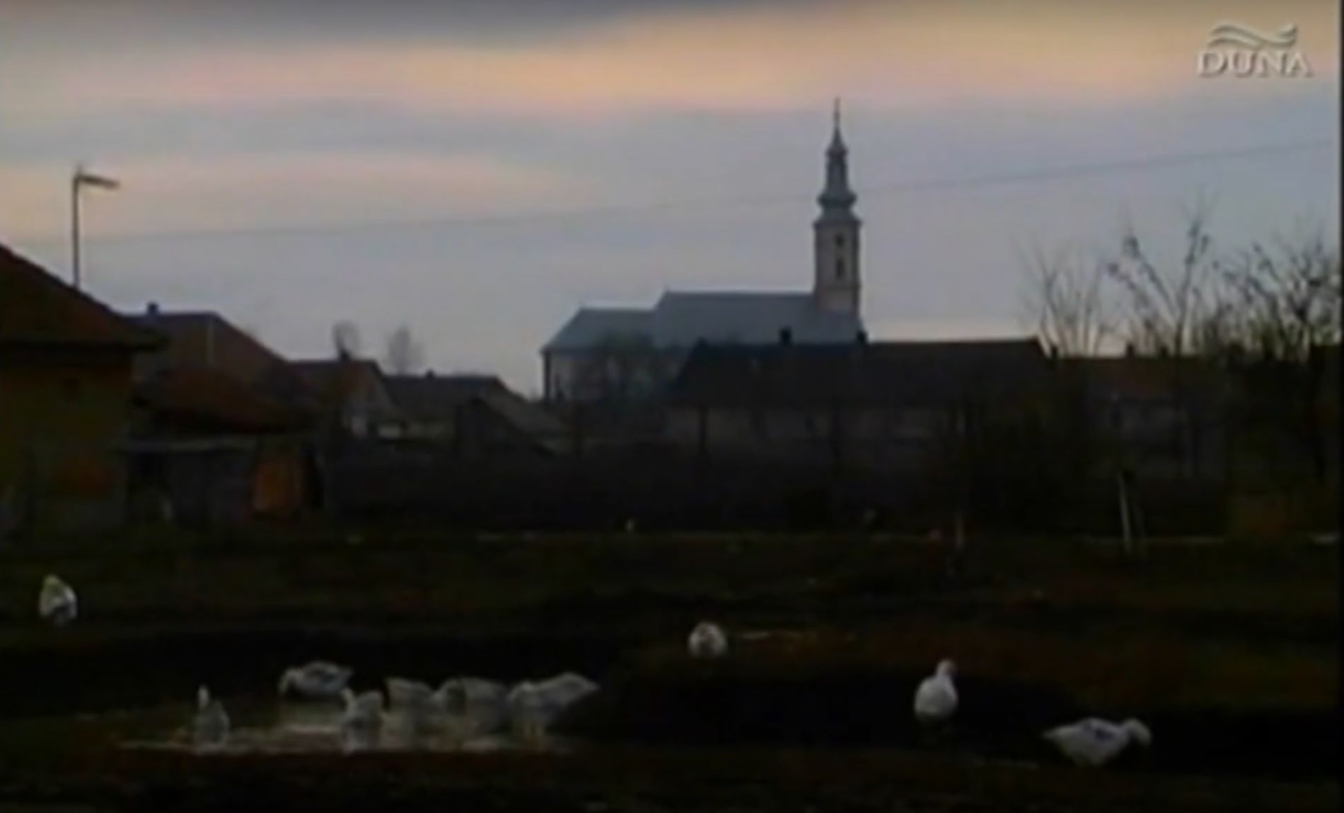 Hazakeresők - Svábok, csángók úton!