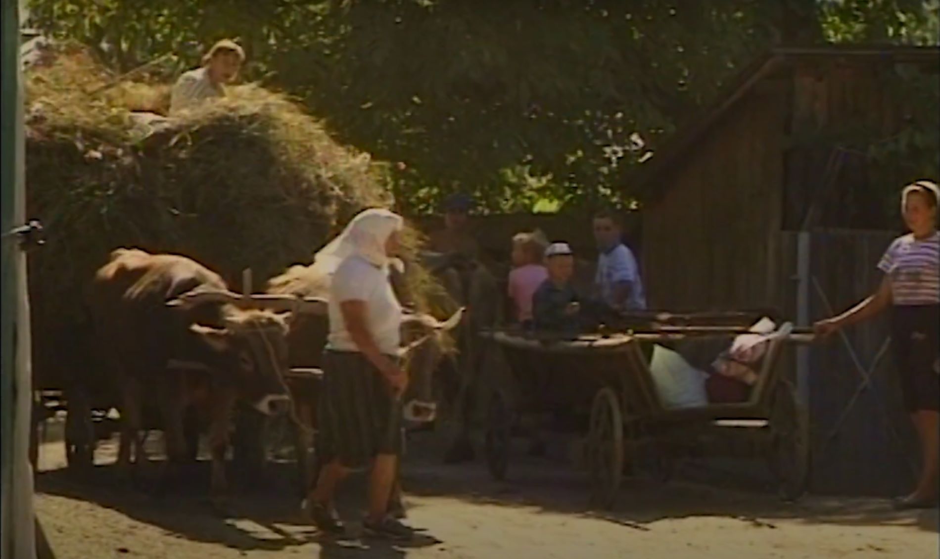 Csángó vagyok - Gábor Felicia