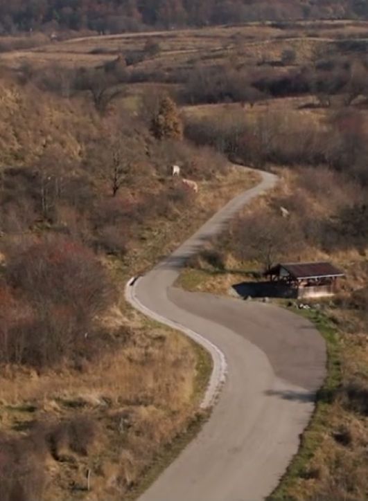 Gyógyító kincseink