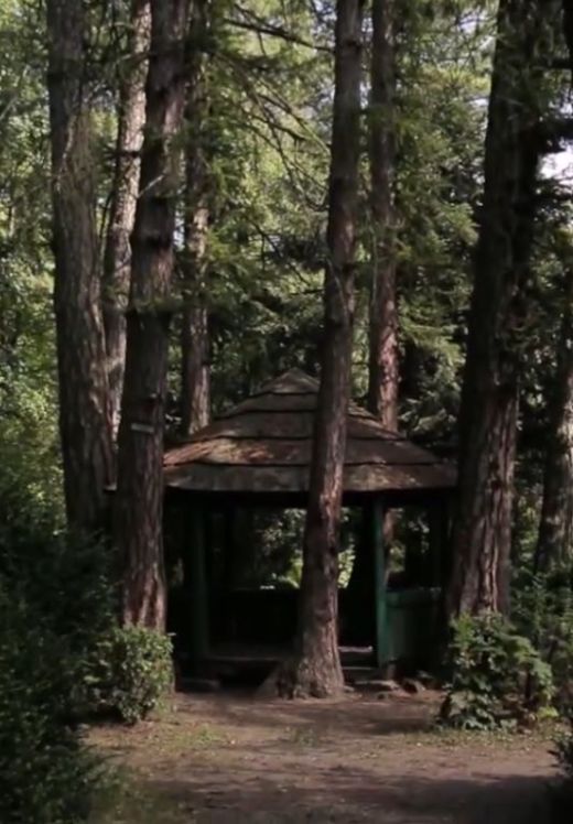 Görgény vára és kastélya